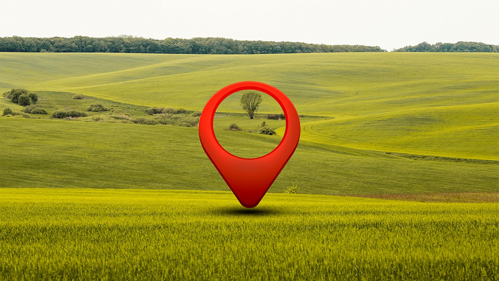 Land Investment: High Profit Areas in the Future